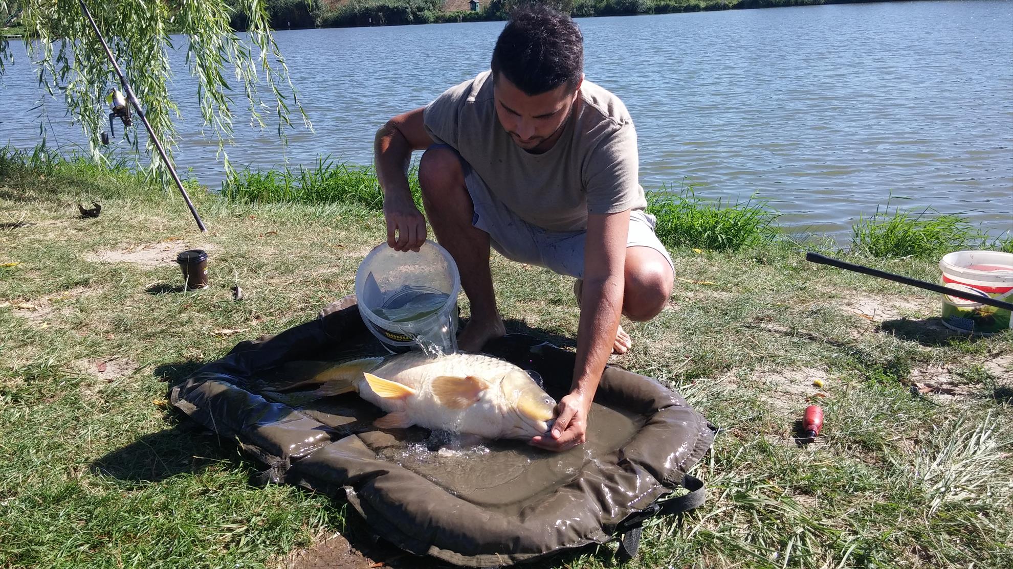 MV2 1 sept. 2015 - 201509011542441.jpg